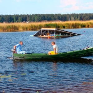 Paddle boat rental with electric motor