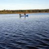 Paddle boat AMBER 250