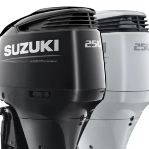 250-300 HP (V6)