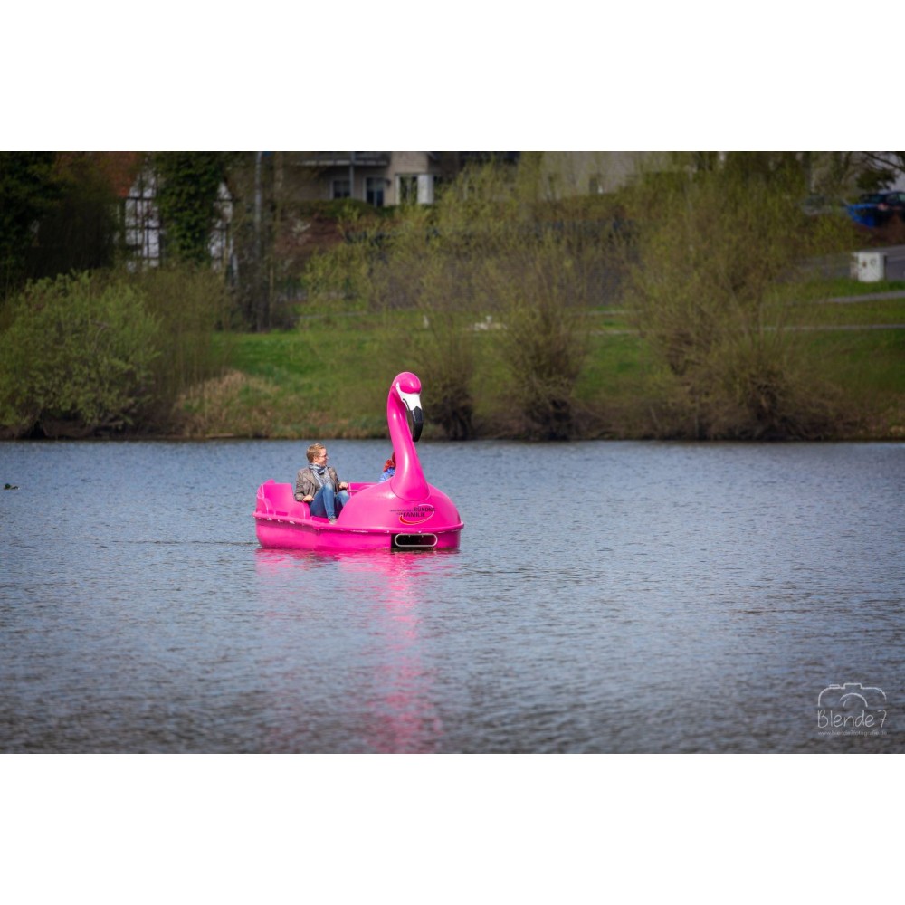 vandens-dviratis-lanoria-flamingo (3)